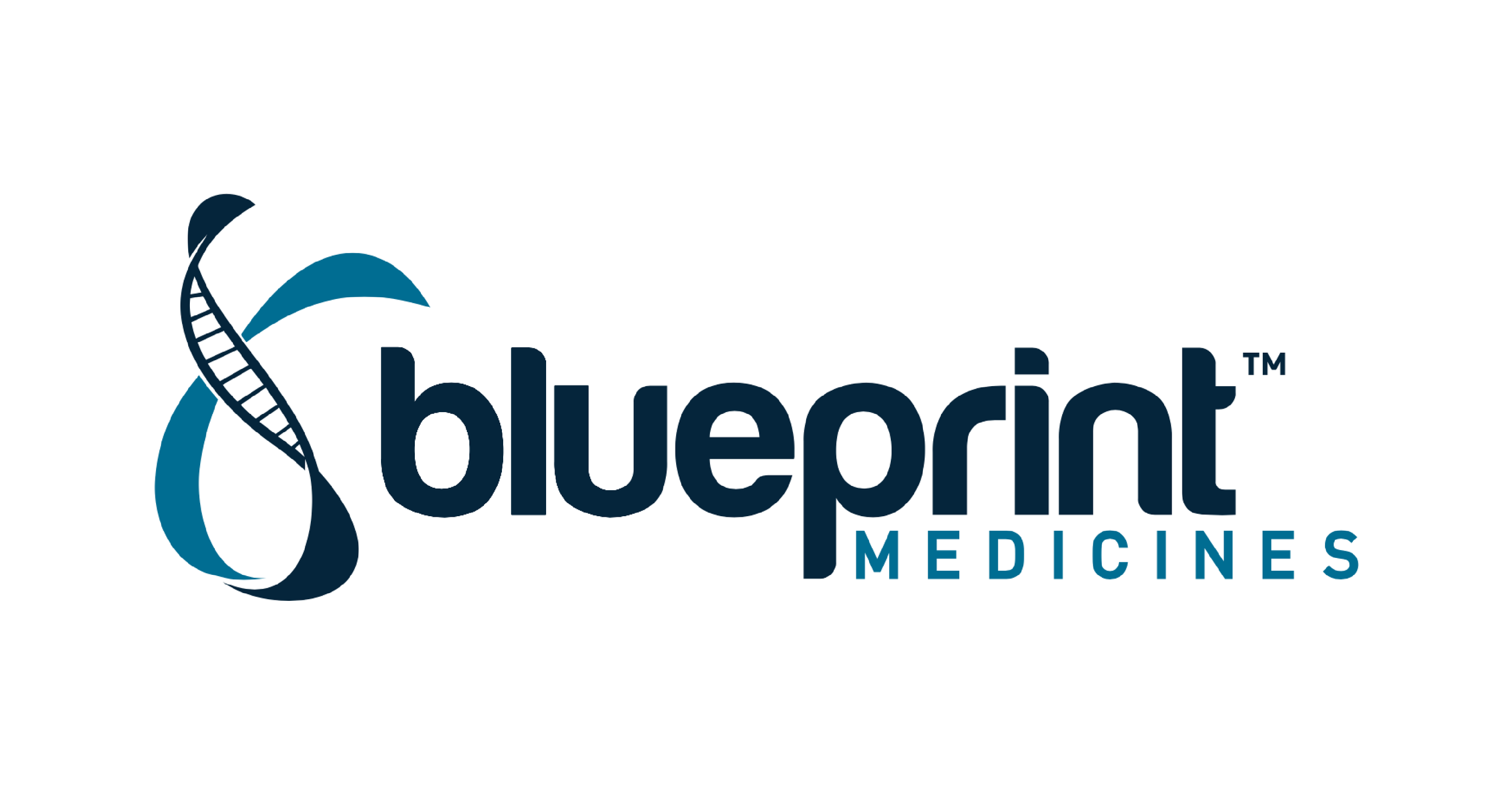 blueprint+logo+tile Blueprint Medicines Logo